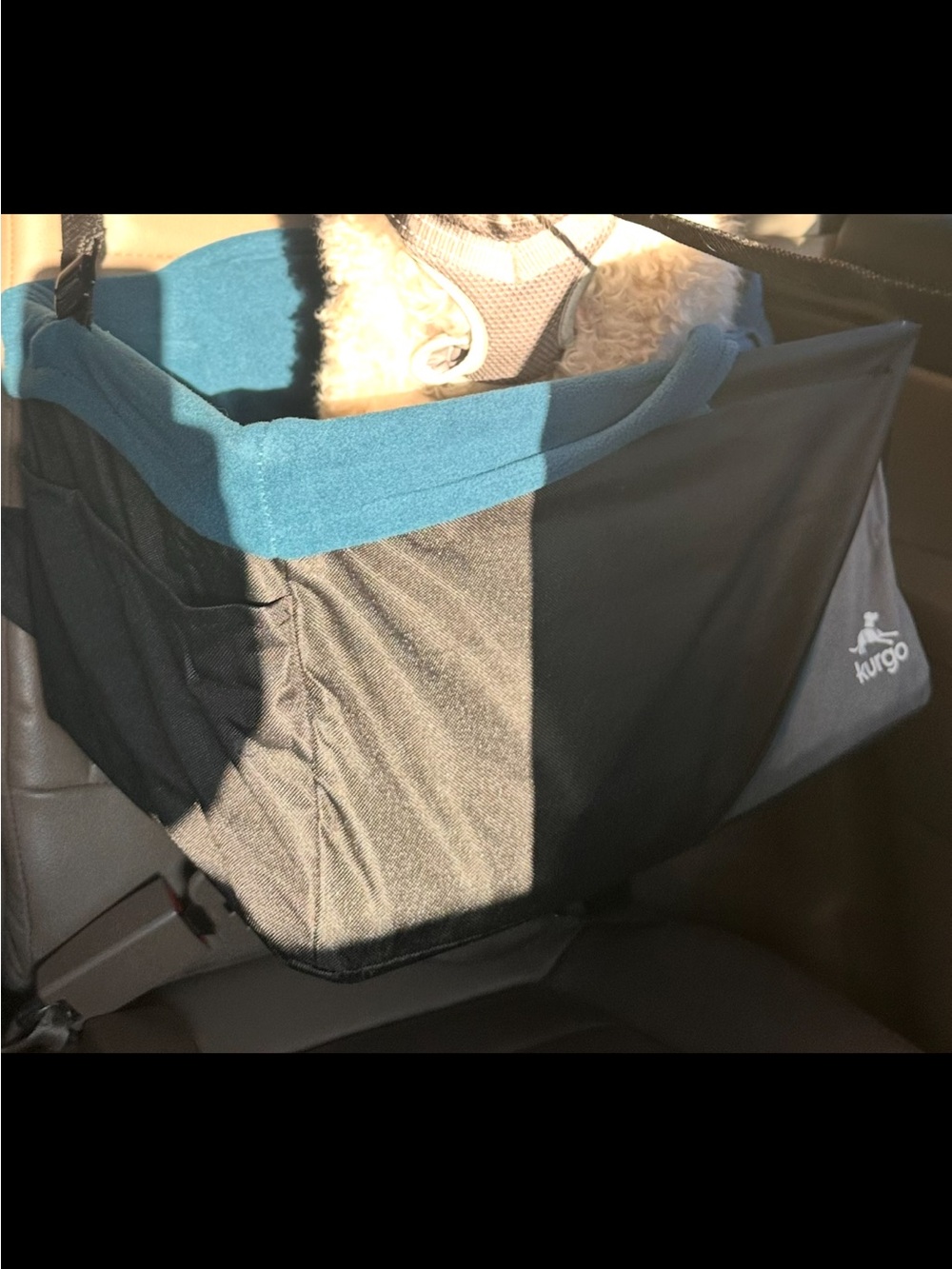 Kurgo Pet Booster Seat - Teal and Black